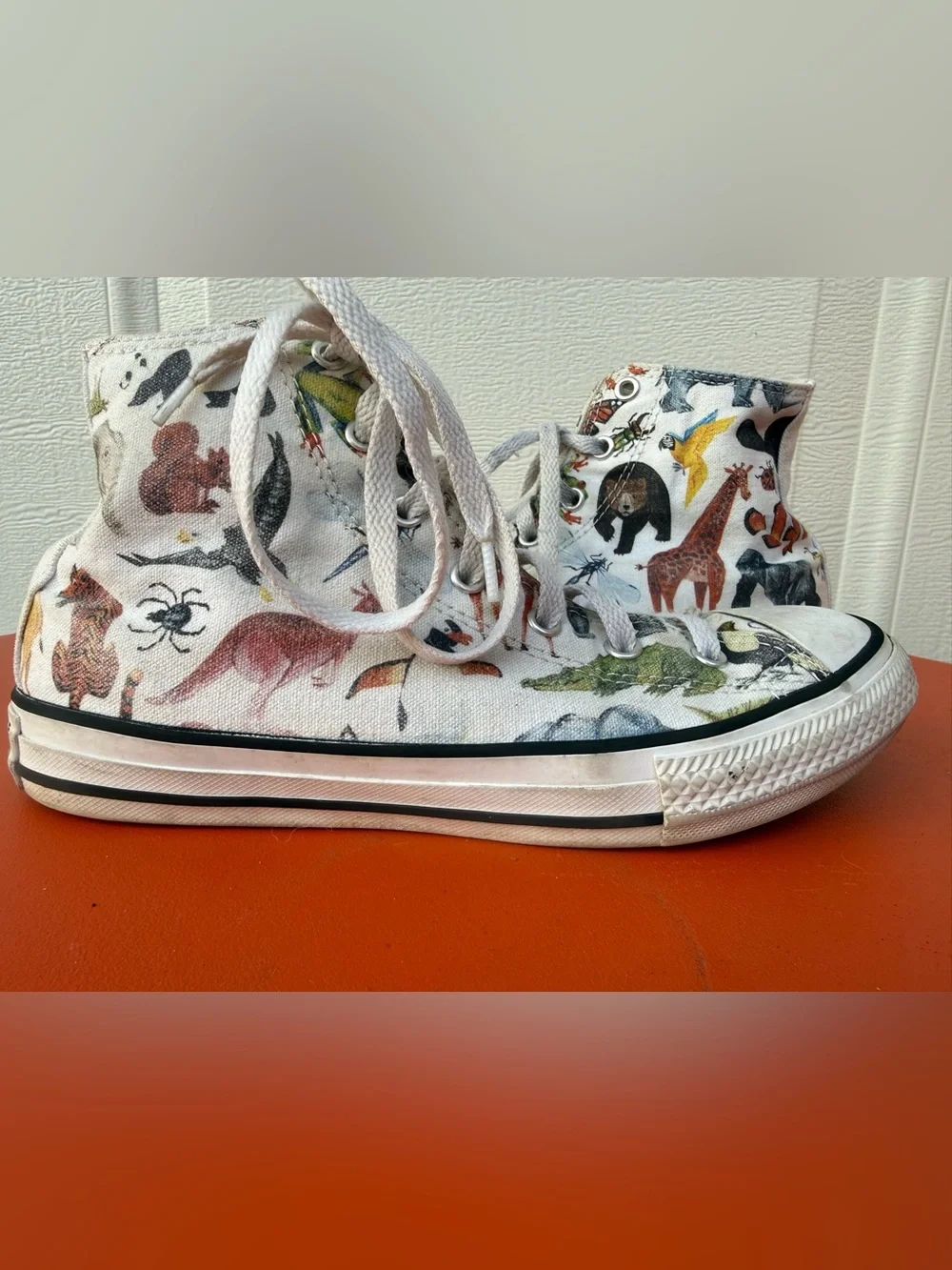 Converse Junior Chuck Taylor All Star Hi sneakers Science Class / Zoo Animals 5